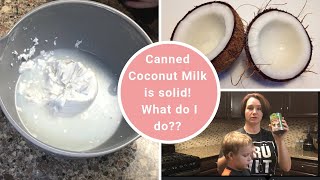 Is Coconut Milk Supposed to Be Solid | Trina Belcik