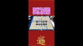 强行马后炮  神仙也难救 #抖音创作者大会 #象棋 #休闲娱乐 #天天象棋 @象棋哥张继红