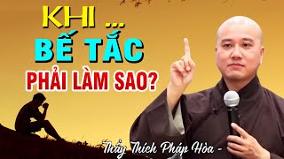 Khi đau khổ bế tắc hãy làm ngay điều này  _ Thầy Thích Pháp Hòa #Mới