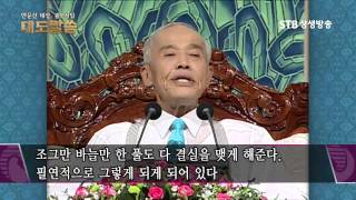 STB상생방송 증산도 안운산태상종도사님 대도말씀 10회