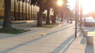 Actividad especial, Tour Centro Histórico Ciudad de México.