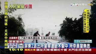 【TVBS】千鈞一髮！處理倒塌路樹　警車也遭斷木砸中