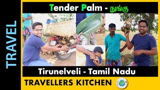 நுங்கு | TENDER PALM Health Benefits | Summer Special | Tamil Nadu Street Food | Nungu