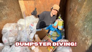 Great Dumpster Dive, Super Donations, & Updates!