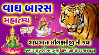 વાઘ બારસ મહાત્મા 2024 | Vagh Baras Mahatmy 2024 | Gujju Parivar