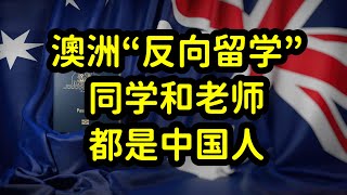 “反向留学”！澳洲大学老师和同学都是中国人，留学性价比太低！