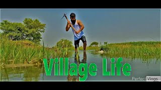 Village of Gulzar  |  Tour  |  trailer  |  Village life 🌳💚