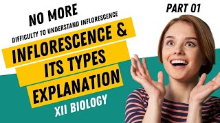 Inflorescence and Its Major Types | Racemose and Cymose Inflorescence |