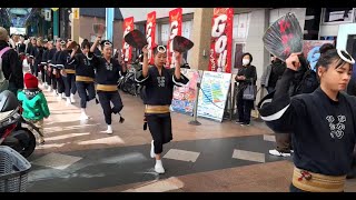 2024  新開地冬まつり 「ひかり連」 阿波踊り   2024.12.08