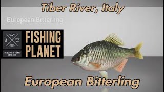 Fishing Planet European Bitterling Tiber River Italy