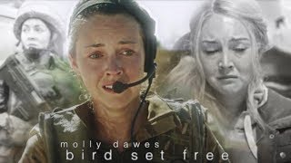 molly dawes | bird set free