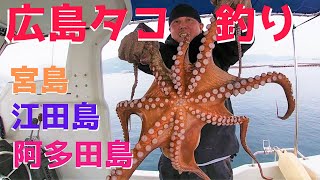 vol65 広島タコ釣り！宮島～江田島～阿多田島編