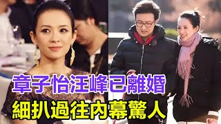 章子怡汪峰已離婚，細扒過往內幕驚人，正在處理財產分割問題，章子怡為啥會嫁給汪峰？看看她的品行就知道了#章子怡#汪峰