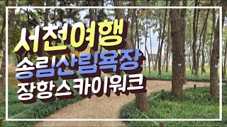 가을에 찾아간 장항스카이워크 송림산림욕장 걸어보기 걷기좋은길 221112 서천여행 데이트코스 딱 이쁜길