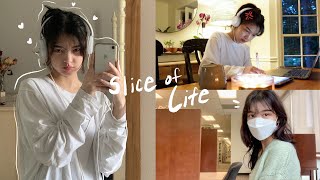 Slice of Life: Uni Student Life, Exam Study Vlog, Lots of Cooking, Being Busy!
