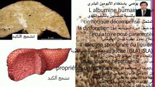 L albumine humaine propriétés