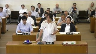 福井県議会　令和元年6月定例会　予算決算特別委員会　細川かをり委員