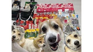 일산펫페어 |일산킨텍스|강아지용품박람회|쇼핑🛍️|브이로그|일상