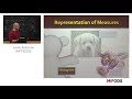 Justin Solomon (MIT) -- Probabilistic representations for geometric computation