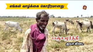 எங்கள் வாழ்க்கை கொடூரமானது|கிடை மாட்டு காரரின் அற்புத பேச்சு #jallikattu # kidaimaadu #k#kangeyam