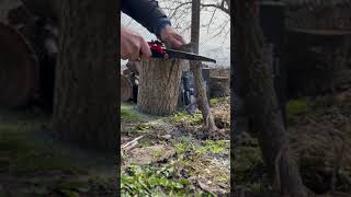 aZengear Folding Hand Saw In Action - Cutting Wood Branches