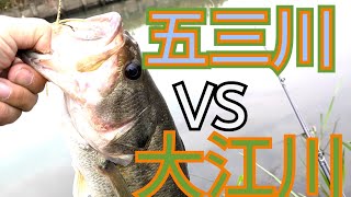 「バス釣り」五三川VS大江川　どっちのが釣れるフィールドなのか？答えはフィールドを見ればわかる！釣れる所には〇がいる！釣れるから集まる！　１１月中旬バス釣り釣行