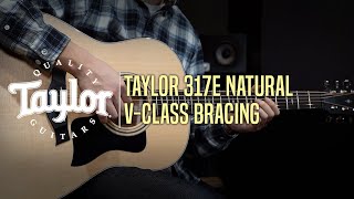 Taylor 317E Natural Demo 'Baiser' by Guitarist 'Kyuhyon Kim' (김규현)