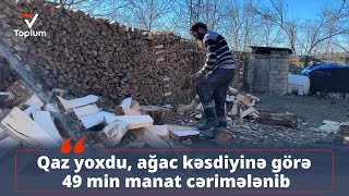 Qaz yoxdu, ağac kəsdiyinə görə 49 min manat cərimələnib