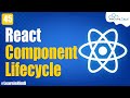 Component Lifecycle Method in React JS |  React JS Tutorial for Beginners #45