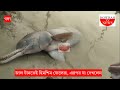 গঙ্গায় জাল টানতেই হিমশিম জেলেরা জালে কি পড়লো যা দেখে চক্ষু চড়ক গাছ জেলেদের