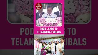 #PoduLands to tribals by #KCR changed their fate | #Shorts