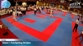 Tatami 1 Wako World Championships 2015, Dublin, 25/11/15