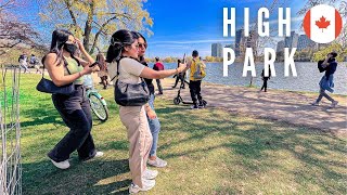 🔴 [4k] 🇨🇦 Toronto spring walk: CHERRY BLOSSOMS in HIGH PARK, Toronto, Canada - May 11, 2022