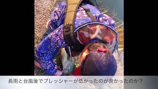 【感激‼︎秋のバス釣り】1投目からキタ〜！５０アップのでっかいバスが釣れたよ。