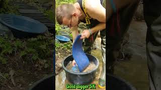 Streamside Gold Rush: Finding Gold with My Dog