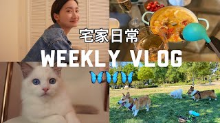 WEEKLY VLOG 宅家日常的吃吃喝喝| 小鱼怪来和我一起WFH 啦！| 疫情期间唯一娱乐活动 | 水煮牛肉/口水蛙/油焖大虾【Furry Mao】