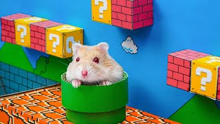 HAMSTER ESCAPE: Cute Mario maze for Hamsterious 🐹 in Hamster Stories 🐹 Hamsterious