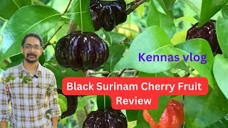 Black Surinam Cherry Fruit Review 🍒#cherry #cherryvlogs #fruits #fruitsplants