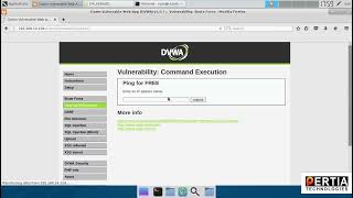 DVWA Pentesting| Command Execution Security level Low