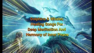 Dolphins & Whales Healing songs of Deep Meditative Music for Harmony and Inner Peace