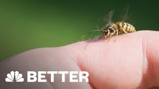 There's A Better Way To Treat A Bee Sting | Better | NBC News