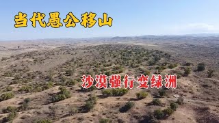 当代愚公移山，六位老汉看沙漠不爽，几十年治理沙漠逆变成绿洲！