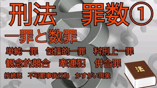 【音声メイン】刑法#22 罪数①【イヤホン推奨】