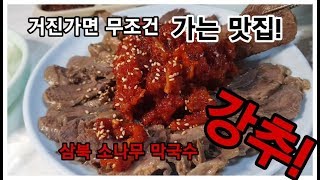 거진 가면 꼭! 가야하는 맛집, 조미료 안쓰는 깔끔한 맛집! 거진 맛집 산북 소나무 막국수!