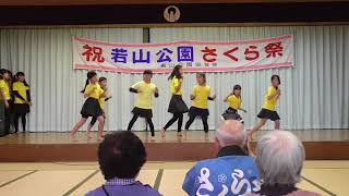 若山公園さくらまつり2018 10 創作ダンス ダンデリアン whiteeeen - タンポポ 山陽小野田市中央福祉センター 山口県山陽小野田市千代町 20180407_132145