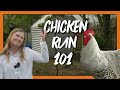 How to Set Up a Chicken Run For Your Backyard Flock