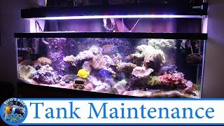 Tank Maintenance