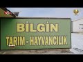 bİlgİn tarim tv8int Şehrİn nabzi