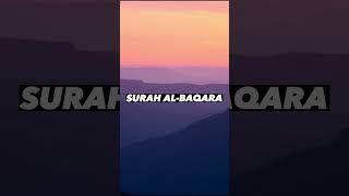 SURAH AL-BAQARA |Ayaat 27+28| Recitation by Mishary Rashid Alafasy | Islam The Heavenly Path