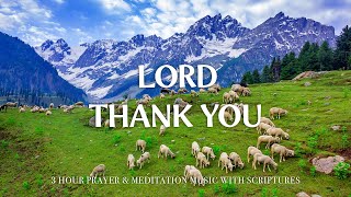 THANK YOU LORD | Instrumental Worship and Scriptures with Nature | Christian Har